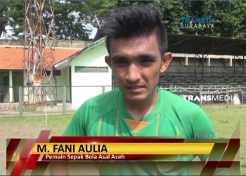 Fani Aulia
