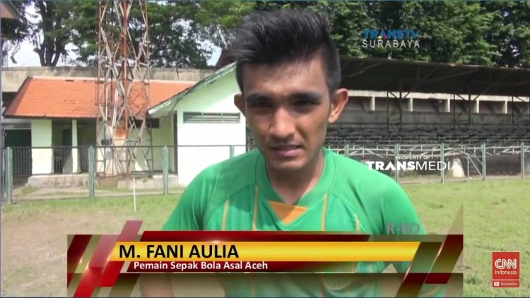 Fani Aulia