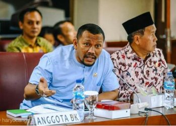 Fadhil Rahmi DPD