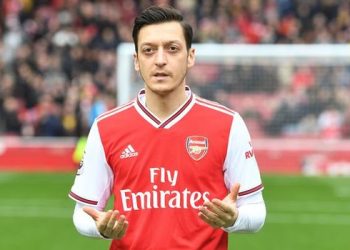 Mesut Ozil, Turki