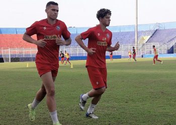 PSSI, Naturalisasi