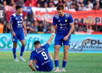 PSIM